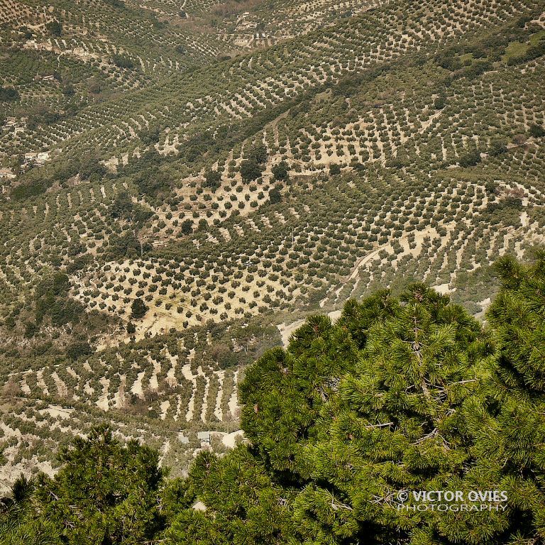 Sierra de Cazorla